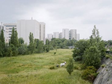 Paysages français (1984-2017), l'expo photo de la BNF