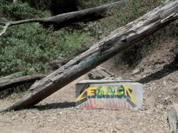Alexandre Estrela, l'exposition à la Fondation Calouste Gulbenkian