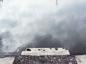 Regards d'artistes contemporains sur la Shoah au Mémorial de la Shoah