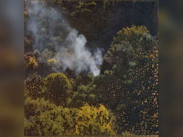 Miguel Rothschild, l'expo gratuite à la Maison de l'Amérique Latine