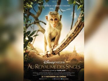 Au Royaume des Singes le 11 novembre au cinéma 