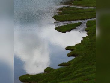 Young Sé Lee à la Galerie Lionelle Courbet
