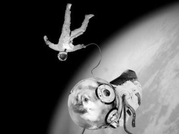 Camouflages de Joan Fontcuberta à la Maison Européenne de la Photographie