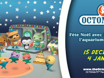 Vacances de Noël à l'Aquarium Sea Life