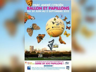 Ballon et Papillons 