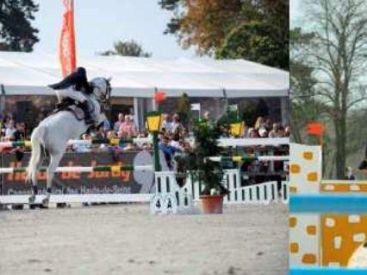 Journée Nationale du Cheval au Haras de Jardy