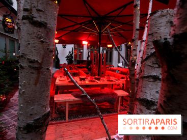 La Terrasse d'hiver du Buddha bar Hotel