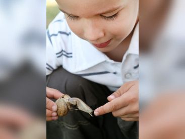 Découverts de la biodiversité au Parc Georges Brassens à Massy