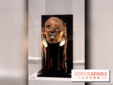 Carambolages au Grand Palais