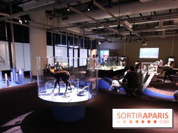 Exposition BéBés animaux à la Cité des Sciences, les photos