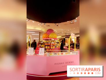 Bar à glaces Pierre Hermé