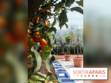 Jardin d'Orient à l'Institut du Monde Arabe