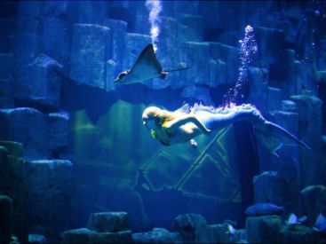 Claire la sirène à l’Aquarium de Paris