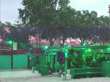 Vide-dressing Violette Sauvage à la Plage du Glazart