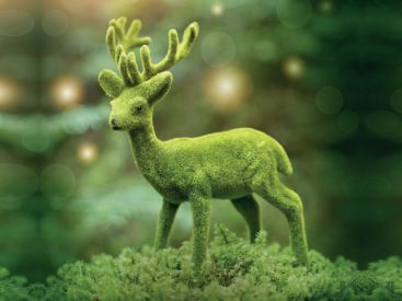 Pousse Pousse 2017, cinéma gratuit pour enfants au Jardin des Plantes