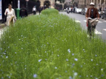 2ème édition de la Campagne J'aime le Lin !