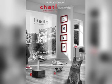 Un pop up store dédié au chat dans le Marais !