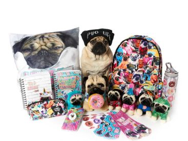 Le chien star Doug the Pug s’invite aux 4 Temps,