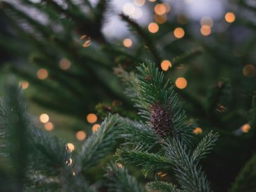 Le Marché de Noël 2025 au Mesnil-Amelot (77) : show son & lumière et feu d'artifice