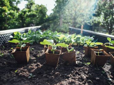 Bientôt une nouvelle ferme urbaine de 5000 m² en hauteur en région parisienne