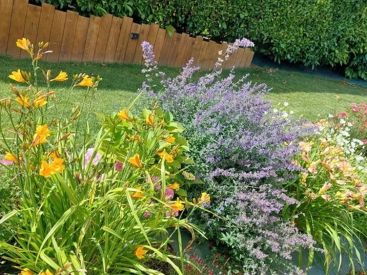 Créez votre " Parfum d'âme" lors d'un atelier champêtre pour les Rendez-Vous aux Jardins 2026 