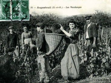 Cette ville aux portes de Paris était autrefois l'un des vignobles les plus prolifiques de la région !