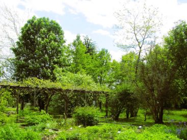 Journées du Patrimoine 2026 : découvrez le conservatoire national des plantes à Milly-la-Forêt