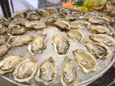 Le Bœuf sur le Toit lance son offre d'huîtres à volonté