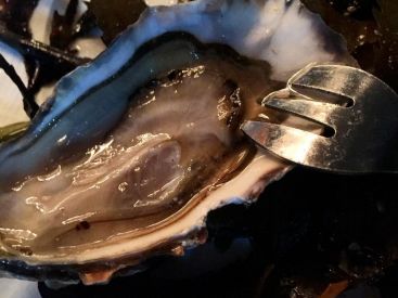 Le Bar à Huîtres : une sélection de taille