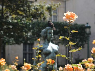 Pique-nique naturiste géant ce dimanche à Paris