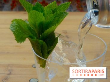 Insolite : un bar parisien lance l'un des premiers hard-seltzer français