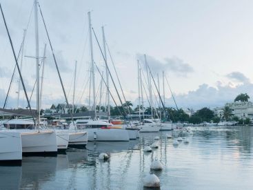 Coronavirus : en Guadeloupe, de nouvelles restrictions face à la hausse des cas