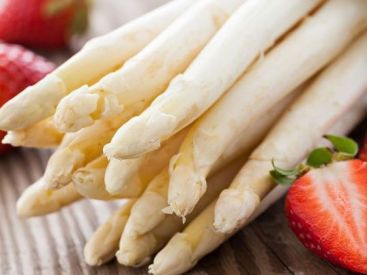 Les Rencontres de Thélème : à la découvertes des acteurs cachés de la gastronomie