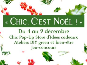 Chic, c'est Noël !, le pop-up store green de Chic des Plantes