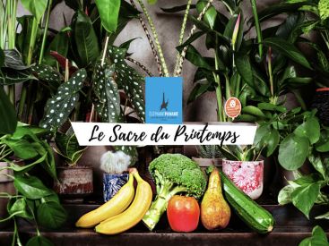 Le Sacre du Printemps : brunch et macramé à l'Eléphant de Paname