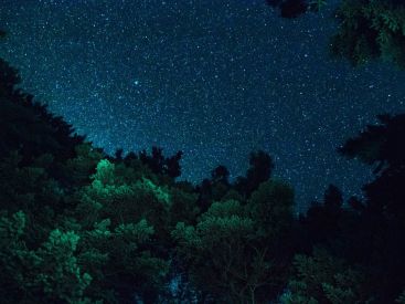 Paris sous les étoiles : observer les étoiles depuis les parcs parisiens