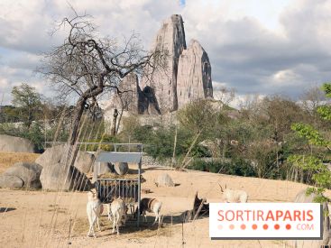 Zoo de Vincennes, Parc Zoologique de Paris 2017