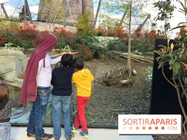Zoo de Vincennes, Parc Zoologique de Paris 2017