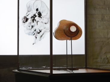 Exposition Sentience, écouter le parfum de la couleur à l'Abbaye de Maubuisson