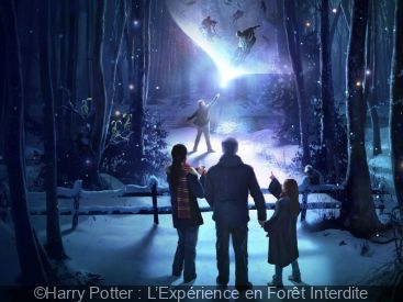 Harry Potter: locations, experiences and outings for Potterheads in ...