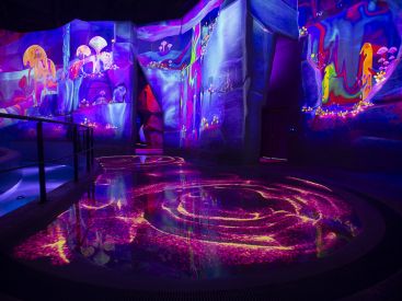 Futuroscope : Aquascope, le nouveau parc aqualudique s'offre une date d'ouverture