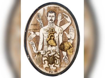 Anatonirisme : l'exposition gratuite entre art et science à la galerie La Lison