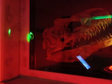 T.Rex Mission : l'escape game avec plein de dinosaures chez Escape Lab
