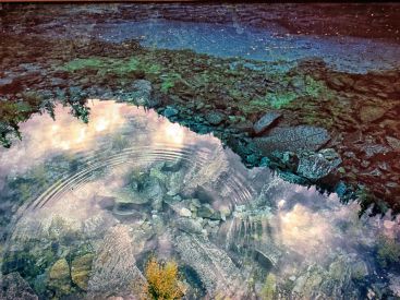 Lumière : l'exposition de Matthieu Ricard à la galerie Françoise Livinec