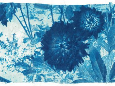 Des ateliers de cyanotype pour les familles au Café QJ