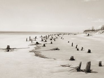 Corps littoral : l'exposition de Camille Guichard à la galerie Rachel Hardouin