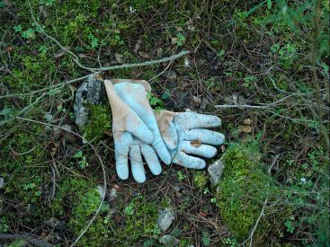 Quests are sometimes disappointing, l’expo photo à la galerie Frangulyan