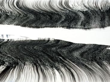 De Natura, l'exposition de Silvère Jarrosson à la Vanities Gallery