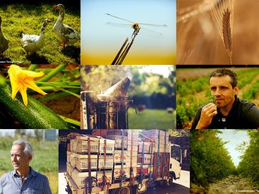 AGRICULTURE(S), l'exposition à l'Espace Coutures Saint-Gervais