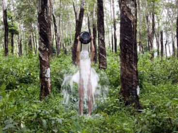 Courants verts, l'exposition à la Fondation EDF